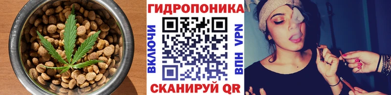 MEGA ССЫЛКА  что такое наркотик  Стародуб  Печенье с ТГК марихуана 