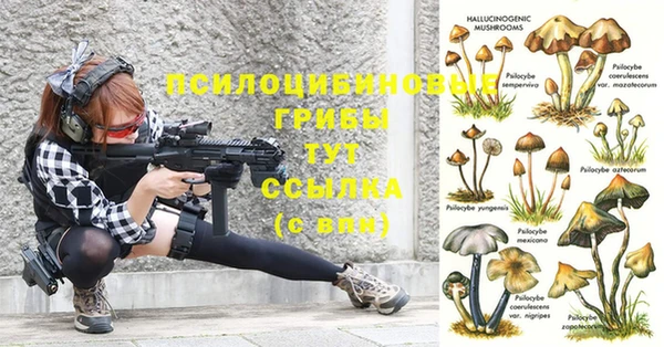 MDMA Алексин