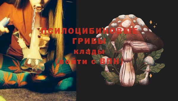 соль ск Алексеевка