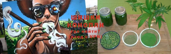 соль ск Алексеевка
