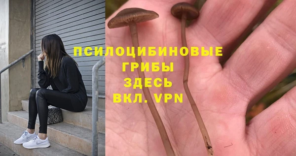 соль ск Алексеевка