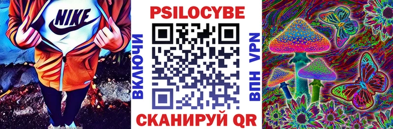 Псилоцибиновые грибы Psilocybine cubensis  цена   Стародуб 